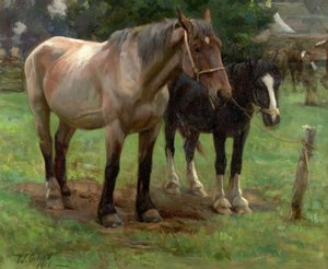 A Country Fair